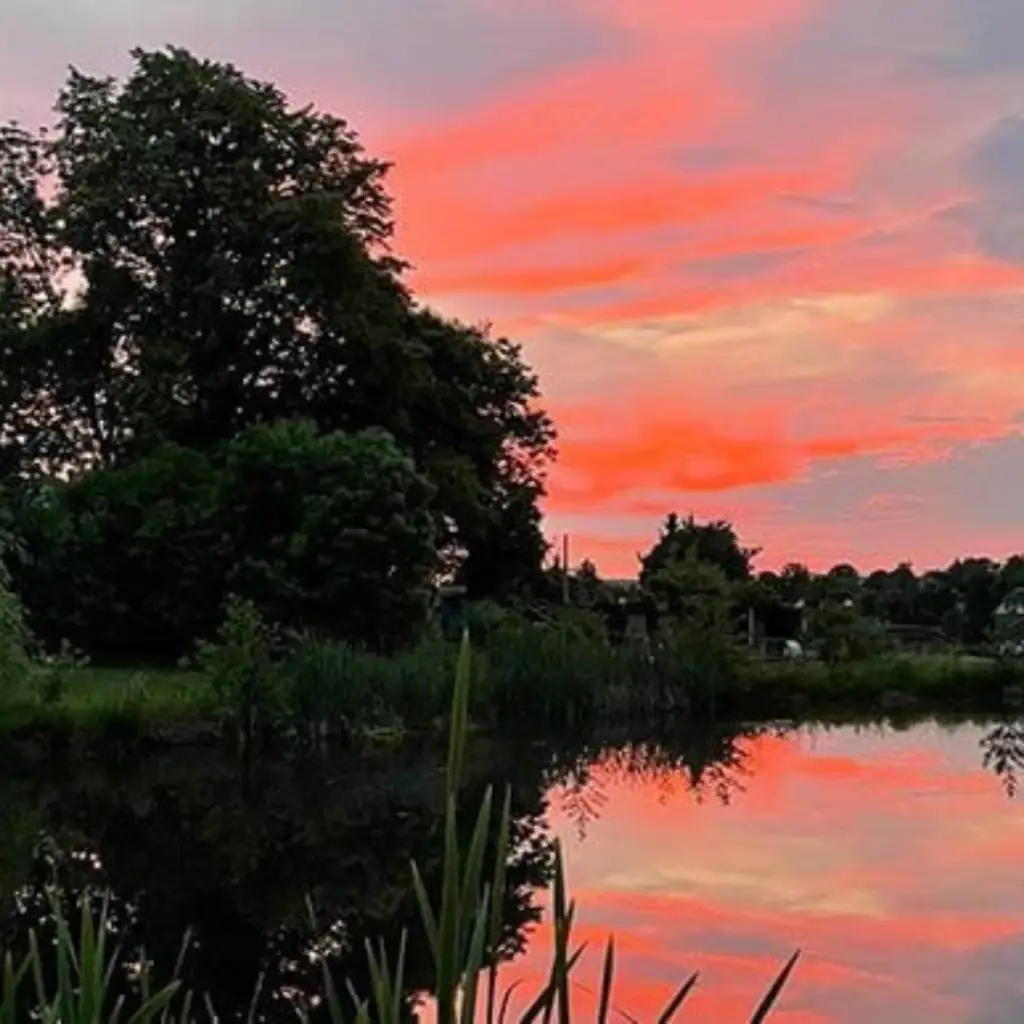 See mit Bäumen und rotem Sonnenuntergang im Hintergrund