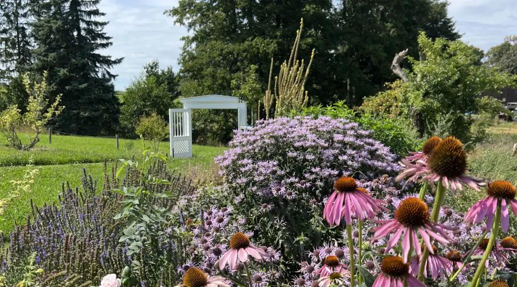 Terra.Garden: rosa- und lilafarbene Blumen im Vordergrund, grüne Wiese mit weißem Tor und großen Bäumen im Hintergrund