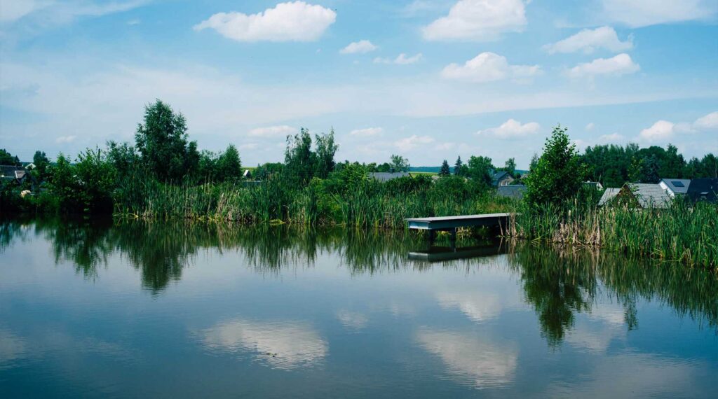 Großer Teich mit Steg und grünen Pflanzen und Bäumen am Ufer, im Hintergrund Häuser, blauer Himmel